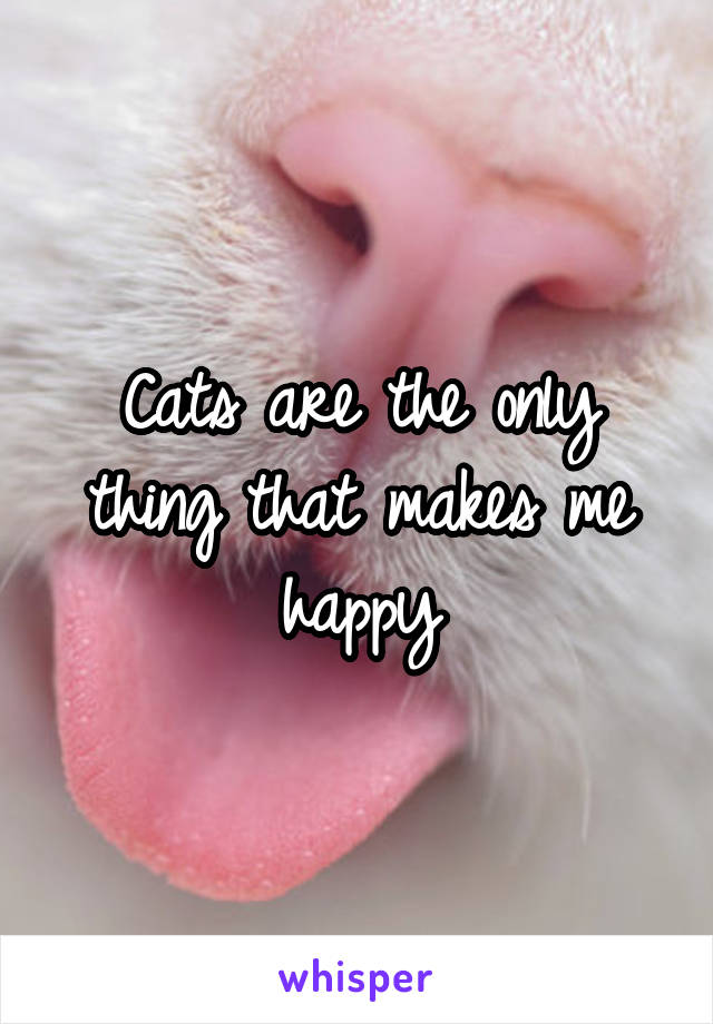 Cats are the only thing that makes me happy