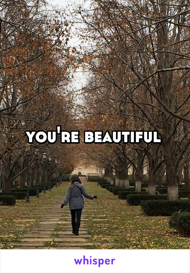 you're beautiful 