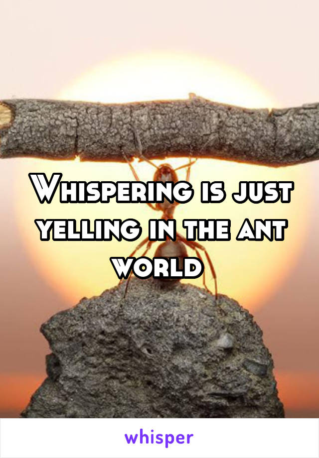 Whispering is just yelling in the ant world 