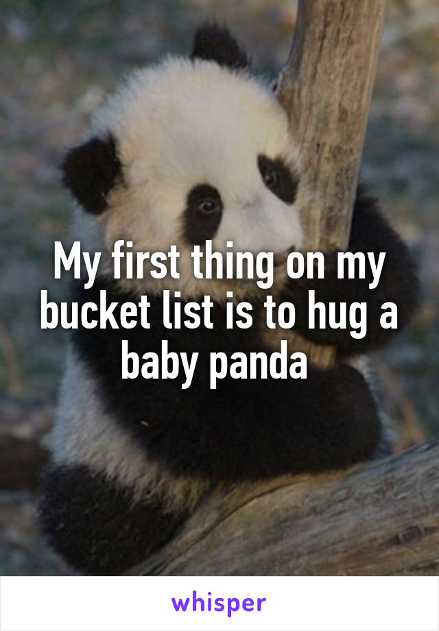 My first thing on my bucket list is to hug a baby panda 