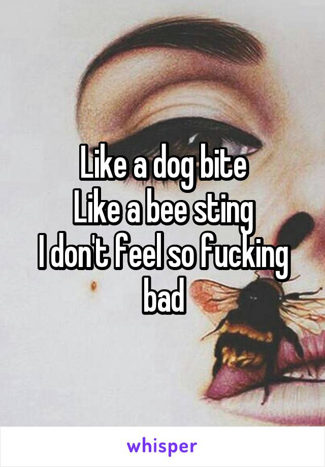 Like a dog bite
Like a bee sting
I don't feel so fucking bad