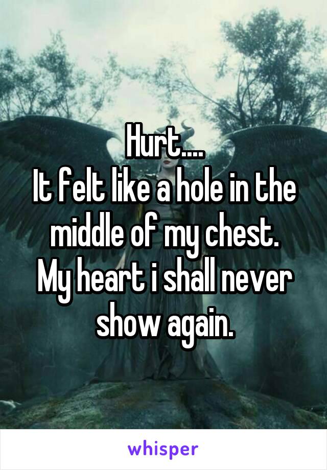 Hurt....
It felt like a hole in the middle of my chest.
My heart i shall never show again.