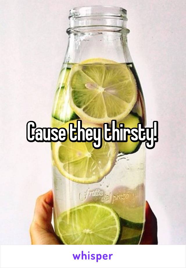 Cause they thirsty! 