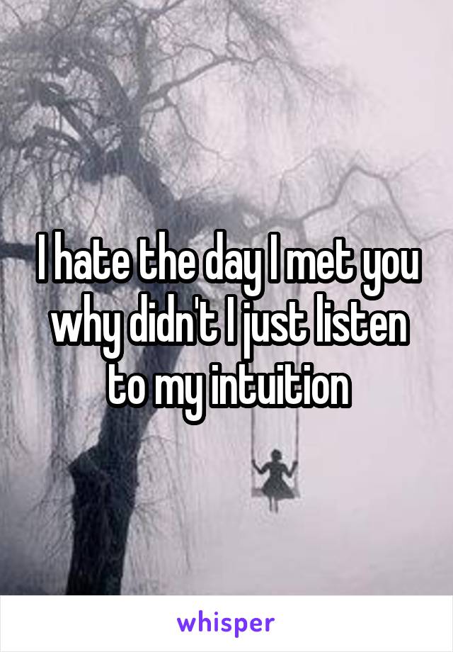 I hate the day I met you why didn't I just listen to my intuition