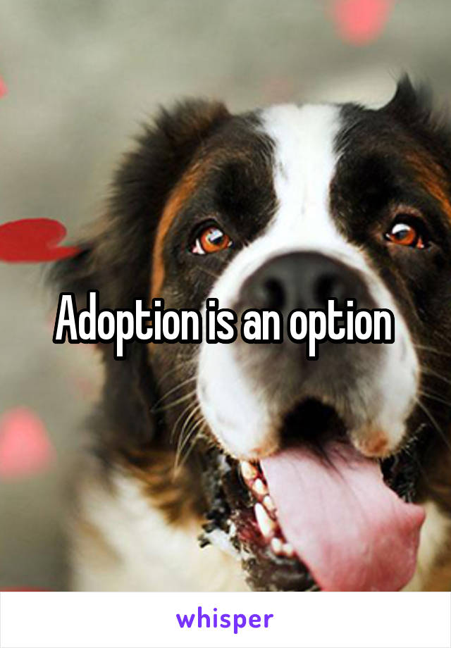 Adoption is an option 