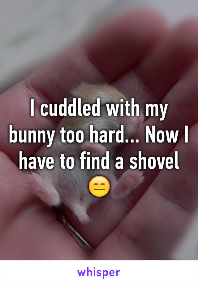 I cuddled with my bunny too hard... Now I have to find a shovel 😑