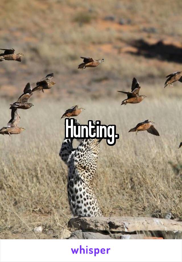 Hunting.