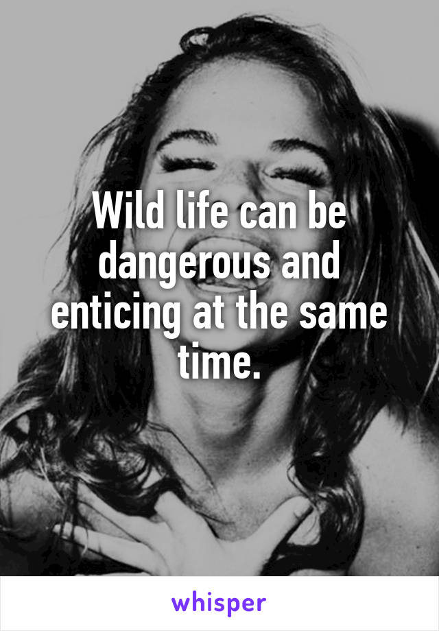 Wild life can be dangerous and enticing at the same time.
