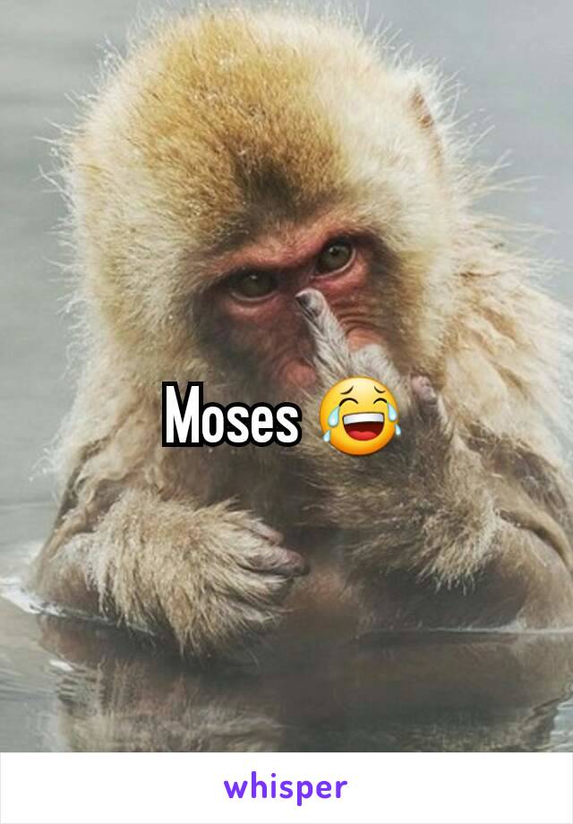 Moses 😂