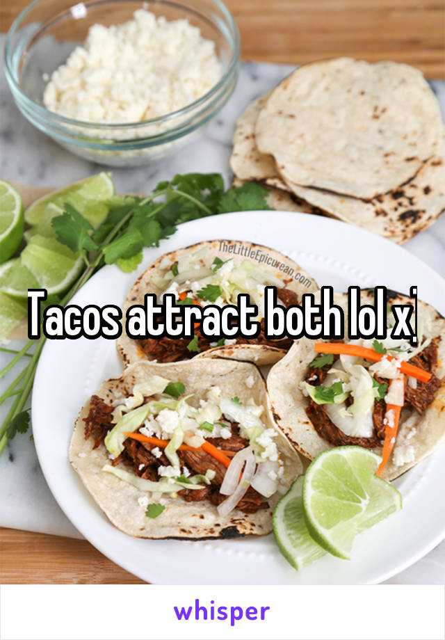 Tacos attract both lol x]