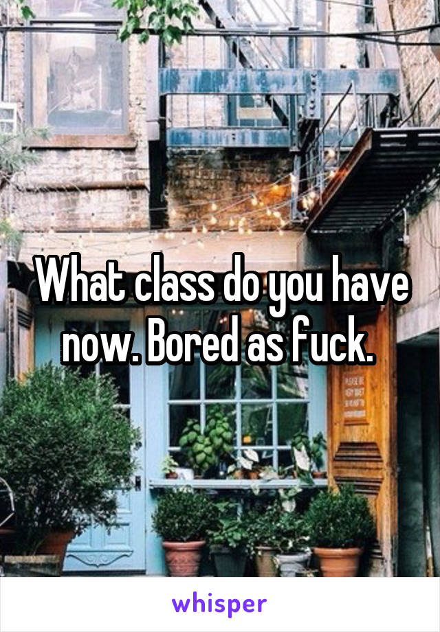 What class do you have now. Bored as fuck. 