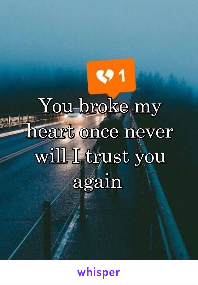 You broke my heart once never will I trust you again 