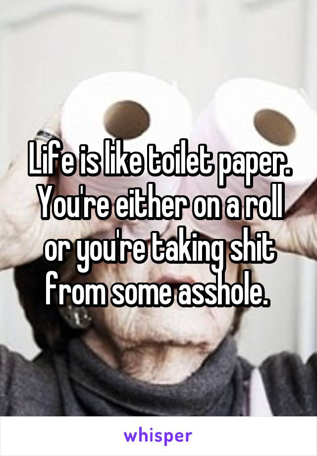 Life is like toilet paper. You're either on a roll or you're taking shit from some asshole. 