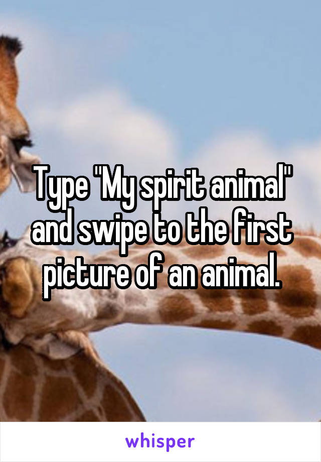 Type "My spirit animal" and swipe to the first picture of an animal.