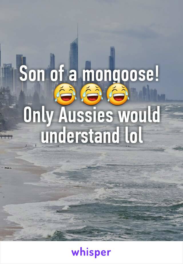 Son of a mongoose! 
😂😂😂
Only Aussies would understand lol
