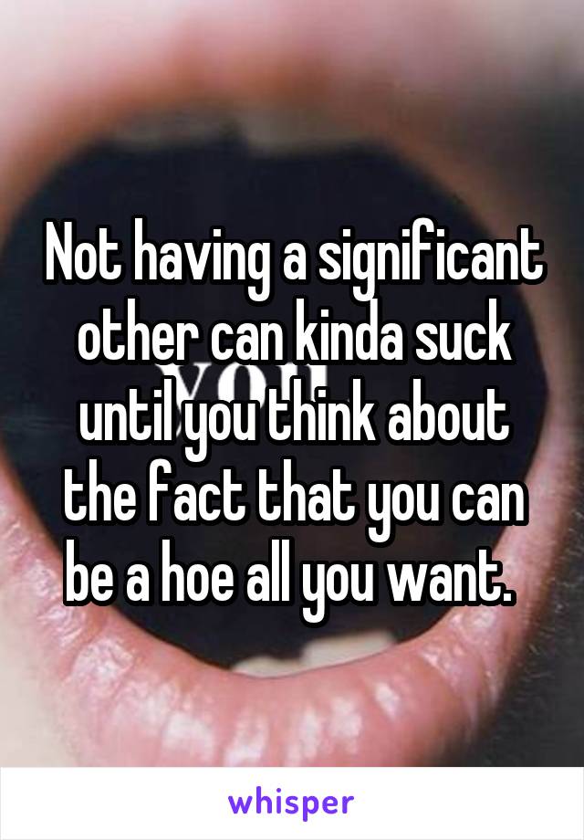 Not having a significant other can kinda suck until you think about the fact that you can be a hoe all you want. 