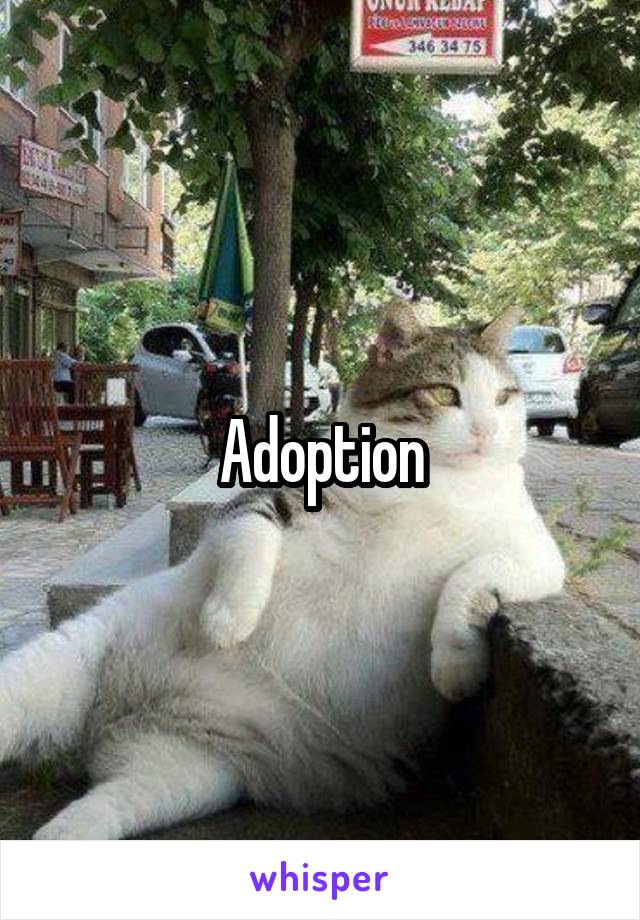 Adoption