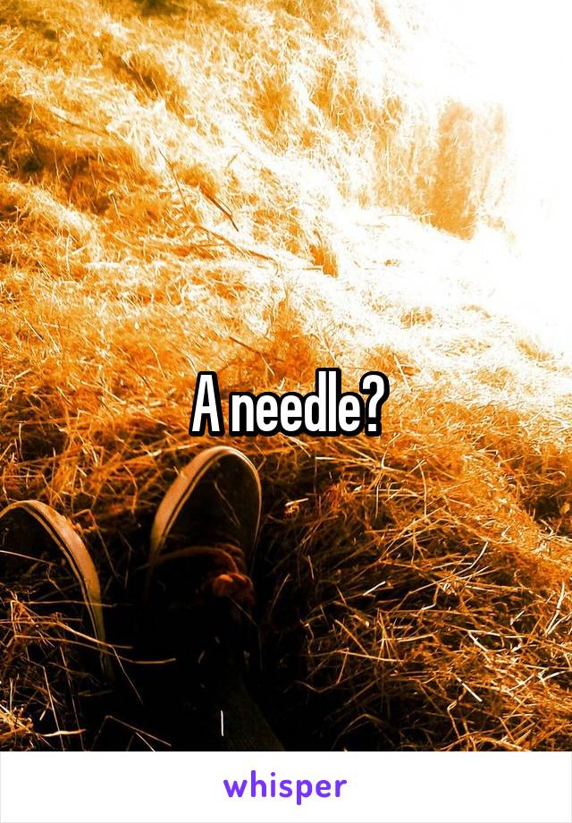 A needle?