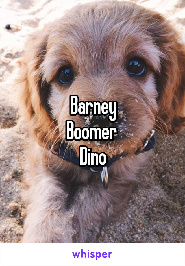 Barney
Boomer 
Dino