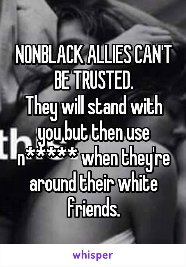 NONBLACK ALLIES CAN'T BE TRUSTED.
They will stand with you but then use n***** when they're around their white friends.