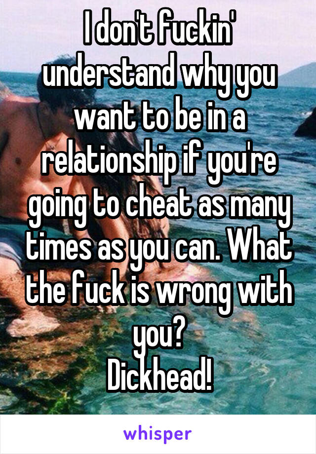 I don't fuckin' understand why you want to be in a relationship if you're going to cheat as many times as you can. What the fuck is wrong with you?
Dickhead!
