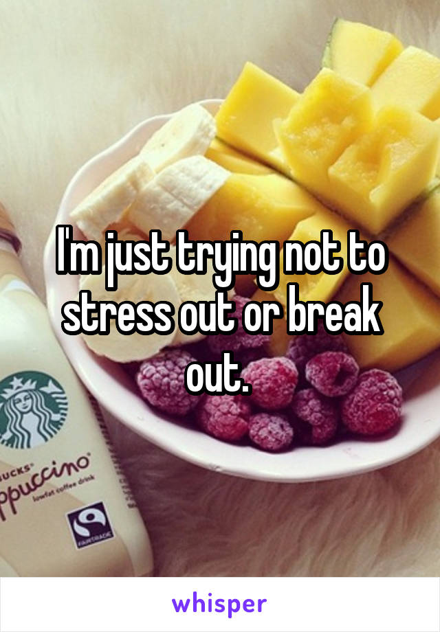 I'm just trying not to stress out or break out. 