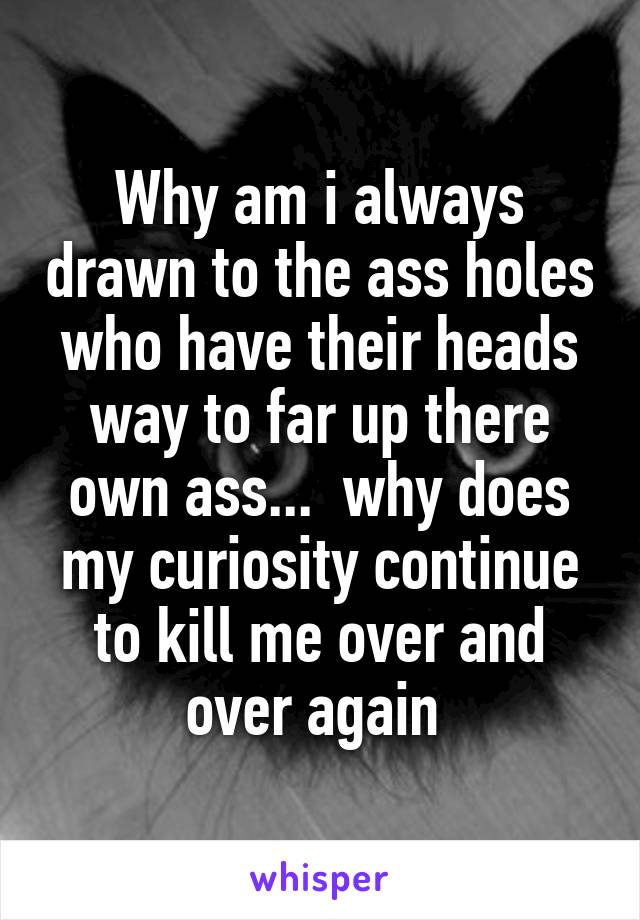 Why am i always drawn to the ass holes who have their heads way to far up there own ass...  why does my curiosity continue to kill me over and over again 