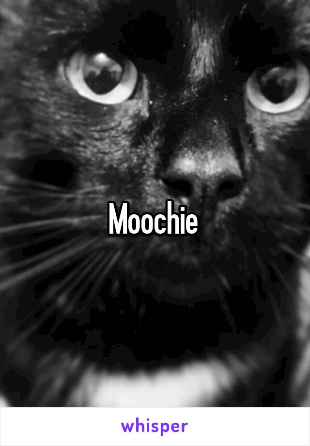 Moochie 