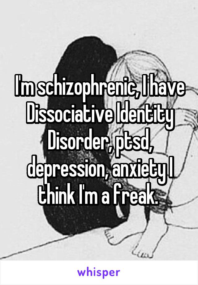 I'm schizophrenic, I have Dissociative Identity Disorder, ptsd, depression, anxiety I think I'm a freak. 