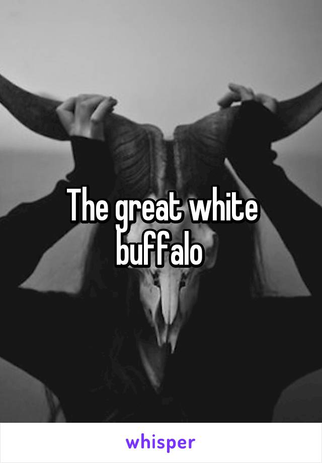 The great white buffalo 