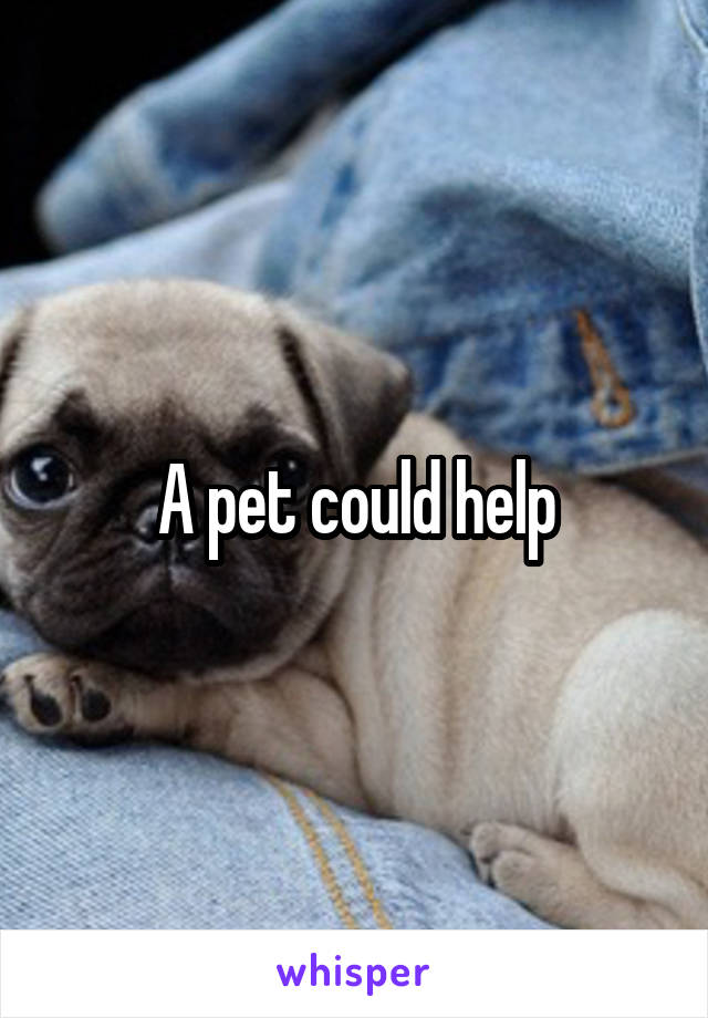 A pet could help