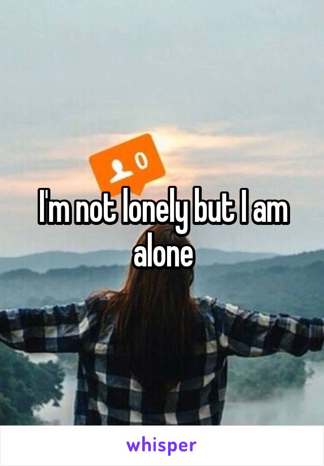 I'm not lonely but I am alone