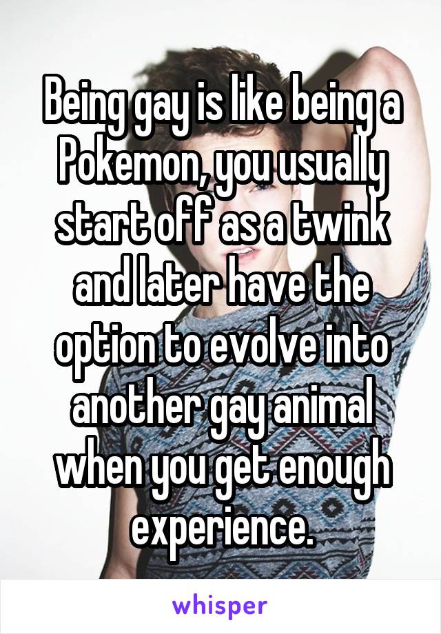 Being gay is like being a Pokemon, you usually start off as a twink and later have the option to evolve into another gay animal when you get enough experience.