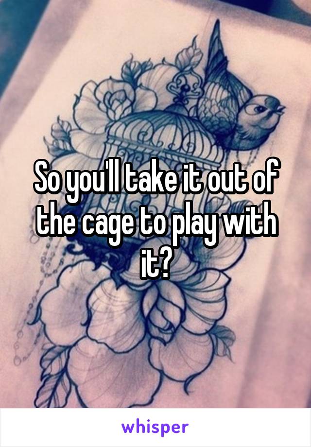 So you'll take it out of the cage to play with it?