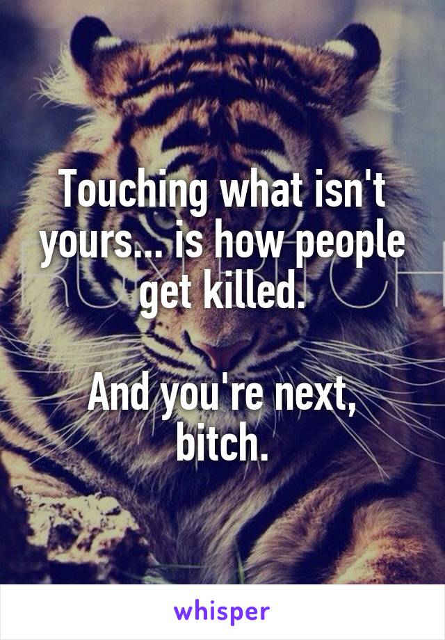 Touching what isn't yours... is how people get killed.

And you're next, bitch.