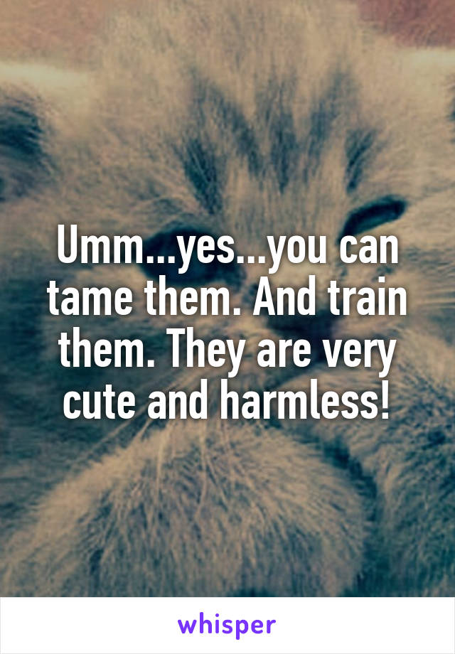 Umm...yes...you can tame them. And train them. They are very cute and harmless!