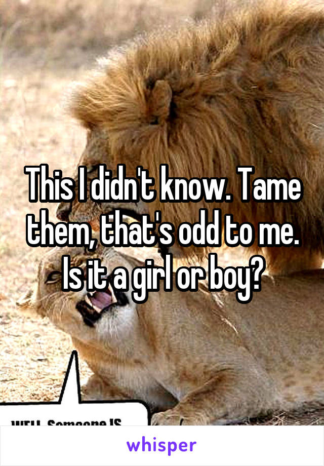 This I didn't know. Tame them, that's odd to me. Is it a girl or boy?