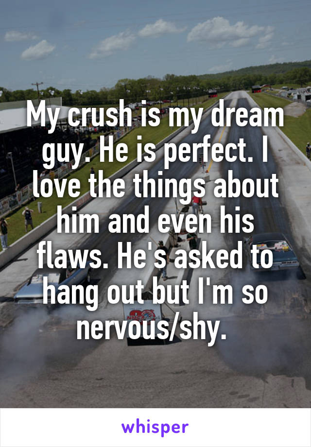 My crush is my dream guy. He is perfect. I love the things about him and even his flaws. He's asked to hang out but I'm so nervous/shy. 