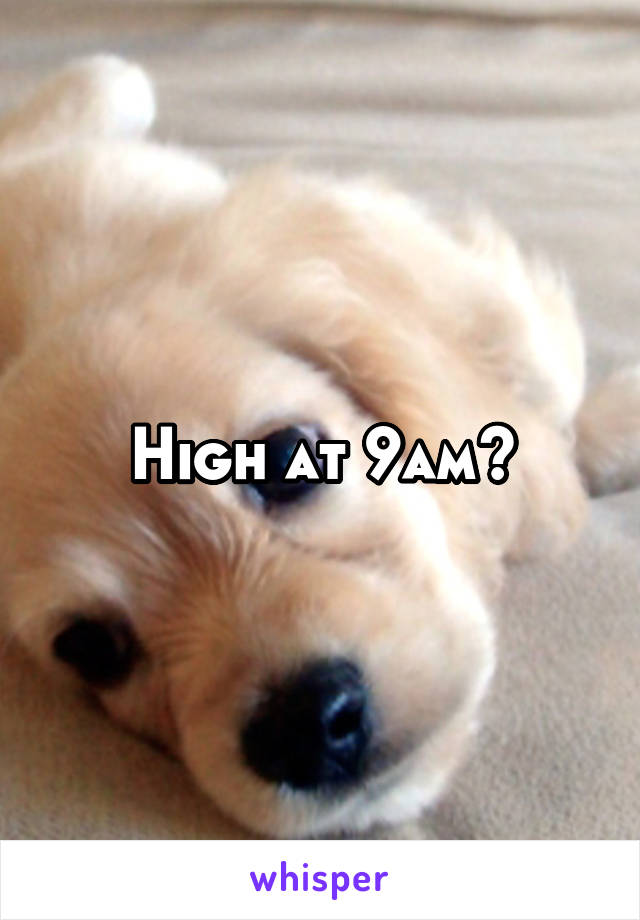 High at 9am?