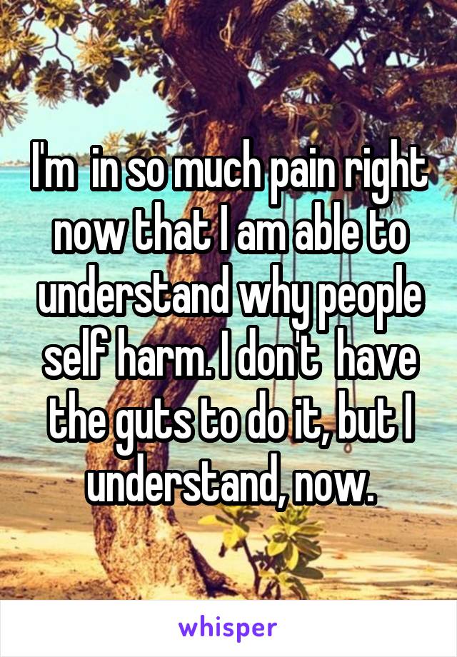 I'm  in so much pain right now that I am able to understand why people self harm. I don't  have the guts to do it, but I understand, now.