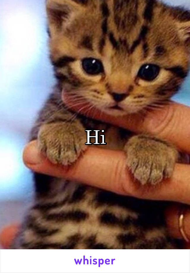 Hi