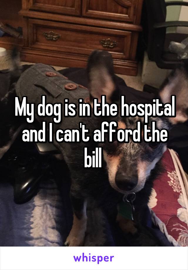 My dog is in the hospital and I can't afford the bill 