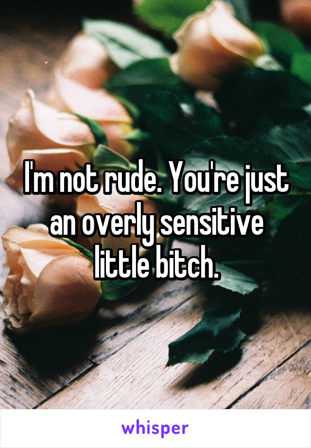 I'm not rude. You're just an overly sensitive little bitch.