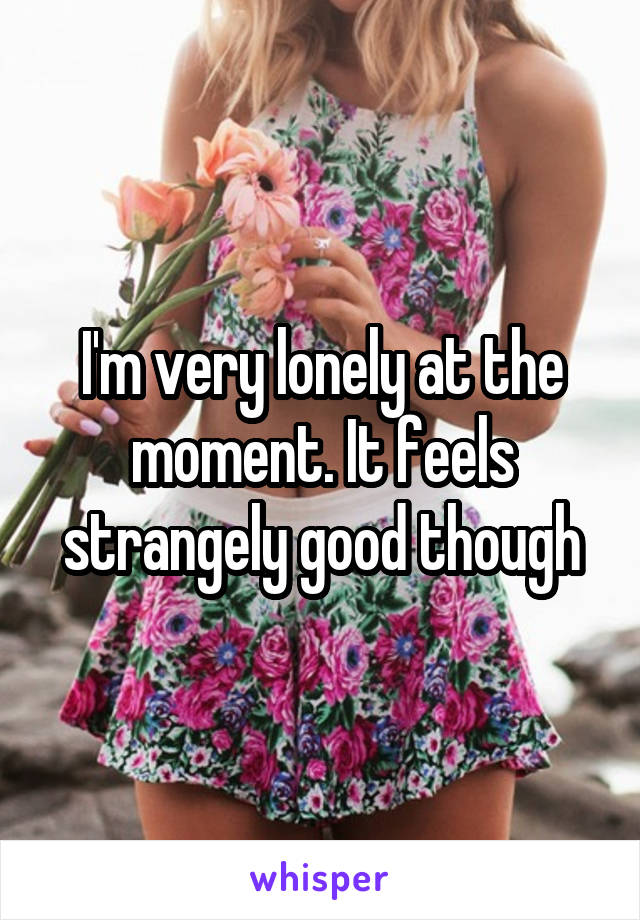 I'm very lonely at the moment. It feels strangely good though