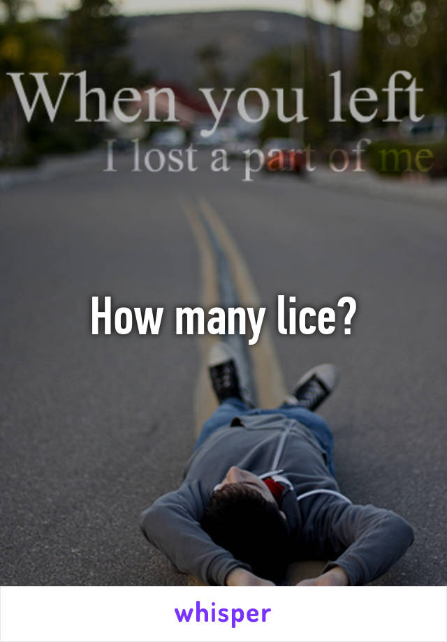 How many lice?