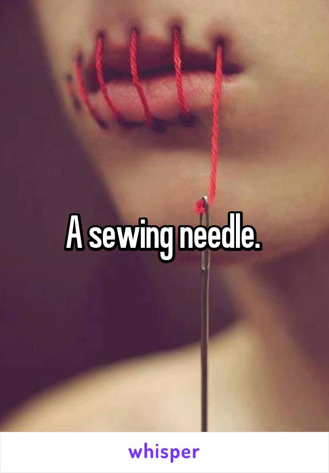 A sewing needle. 