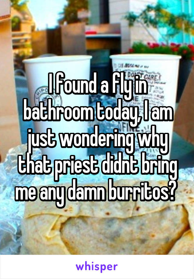 I found a fly in bathroom today, I am just wondering why that priest didnt bring me any damn burritos? 