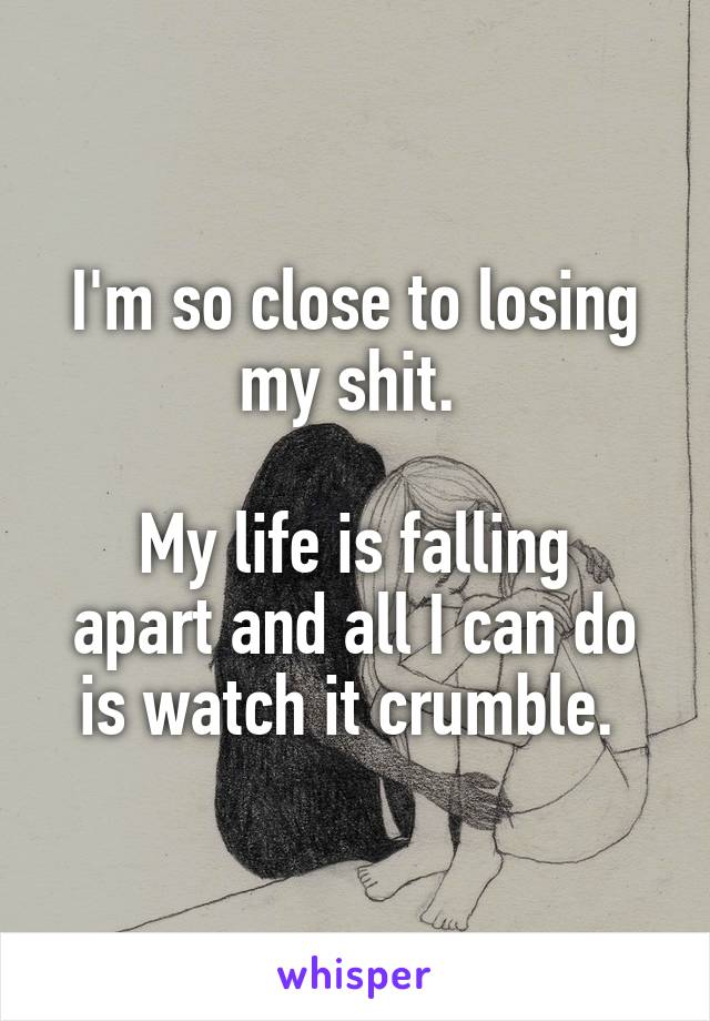 I'm so close to losing my shit. 

My life is falling apart and all I can do is watch it crumble. 