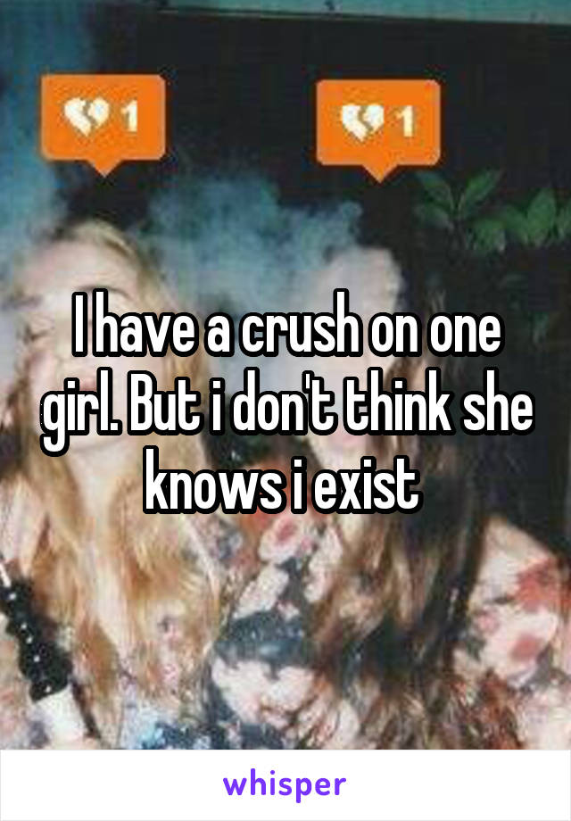 I have a crush on one girl. But i don't think she knows i exist 