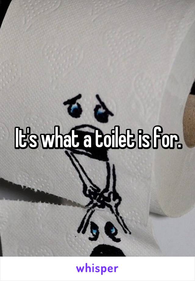 It's what a toilet is for.